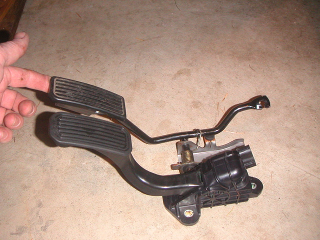 PICT0005.JPG