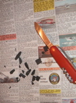 PICT0001.JPG