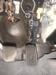 PICT0003.JPG